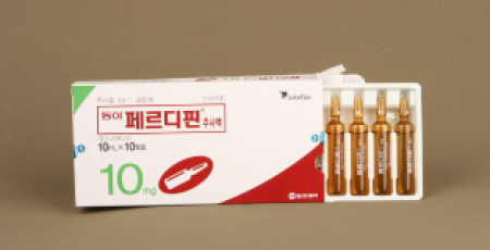 2019년 이미지